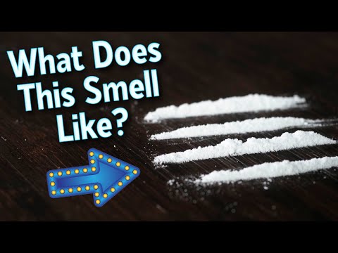 Coca leaf and Cocaine Aroma Used in Coca-Cola