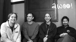 awoo | the wave pictures