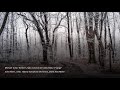 Michael Torke: WINTER'S TALE, concerto for cello, Mov. 3 "Largo"