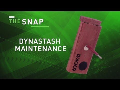 The Snap | Stash Maintenance