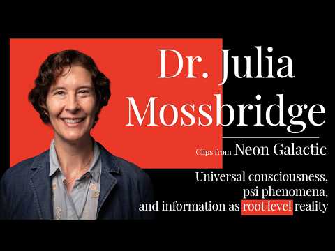 Neon Clips: Julia Mossbridge on consciousness, and the physics of love