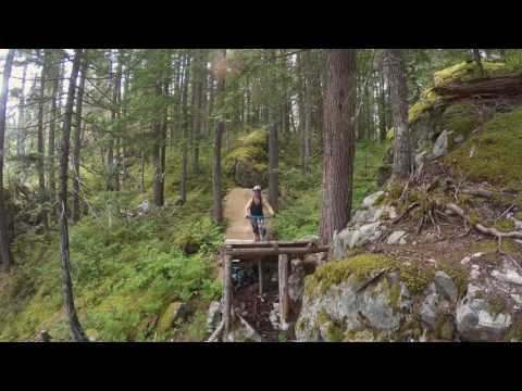 Cerveza Verde - The Line That Started It All