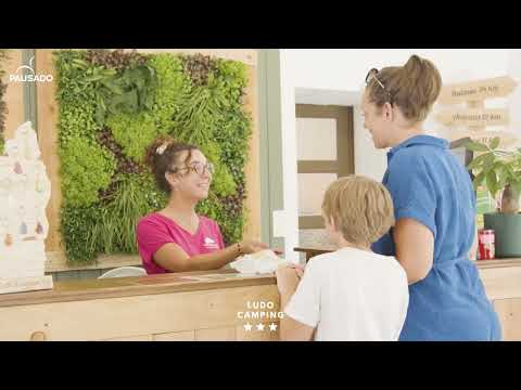 Pausado Ludo Camping