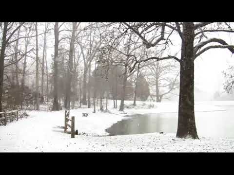 Otto Sieben,Adam Saunders,Mark Cousins - Romancing the Past | Ufak Tefek Cinayetler Müziği- Zaman