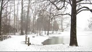Otto Sieben,Adam Saunders,Mark Cousins - Romancing the Past | Ufak Tefek Cinayetler Müziği- Zaman