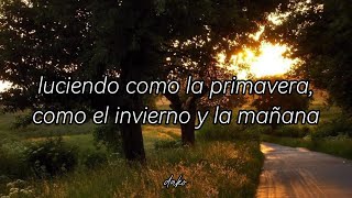 waiting for the moon to rise – belle and sebastian (sub. español)