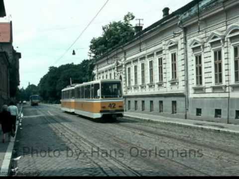 tramvaie din Timisoara