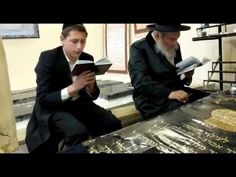 Dovi 2018 by ropshitz rebbe