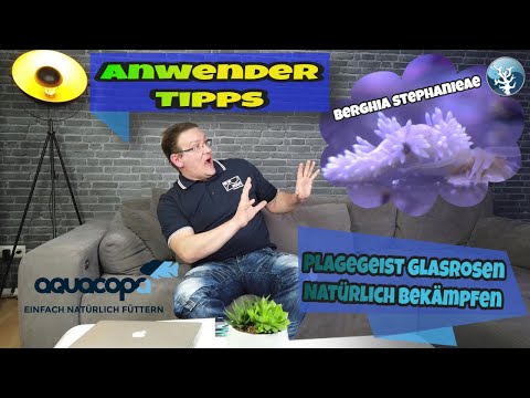 ⭐Anwender Tipps⭐ 👉Plagegeist Glasrosen natürlich entfernen im Nanoriff👈