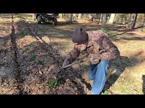 We Didn't Make IT!   December 31st