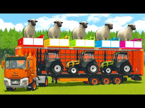 SCHAFE LADEN UND TRANSPORTIEREN MIT FENDT-TRAKTOREN UND -LASTWAGEN - Farming Simulator 25