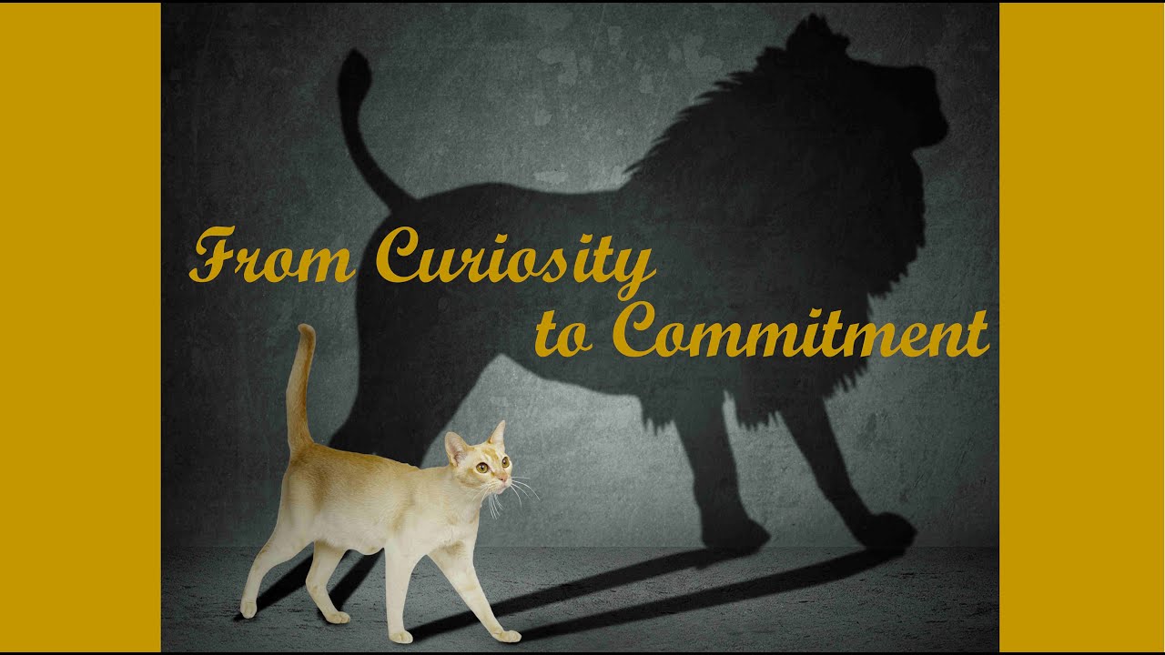 From Curiosity to Commitment