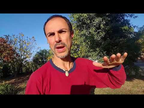 Osteocondrosi e milgamma Recensioni di Balsam cavalli per giunti