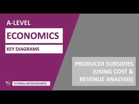 Key Diagrams - Producer Subsidies (Supply and Demand Analysis)