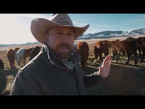 3 Ways to Become a Rancher ( 2 are EASY! )