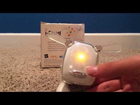 image-How much did an IDOG cost?