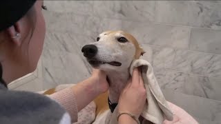 Jenna and Bunny having the time of their lives in a bathtub