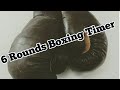 6 Round Boxing Match Training Timer 6 x 3min with 1 min Breaks Boxen 6 Runden Uhr Time