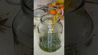 Download lagu Vaj Rozmarine per parandalimin e flokeve mp3 Download lagu Vaj Rozmarine per parandalimin e flokeve mp3