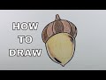 How To Draw An ACORN Easy Drawings For Beginners