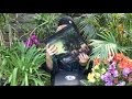 Fleetwood Mac Tango In The Night Deluxe Unofficial Unboxing By Fleetmac Wood