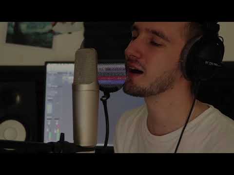 FINNEAS - Let's fall in love for the night (cover Gabriel Cîndea)
