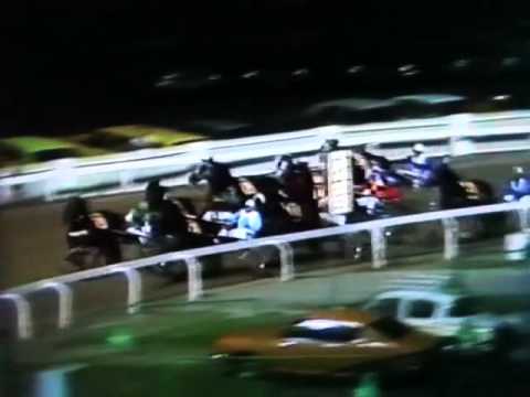 Harness Racing,Harold Park-1980 Interdominion Grand Final (Koala King-B.P.Hancock)