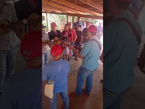 Folia de Reis Murumbi São Luís montes belos Goiás 