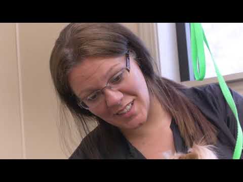 Welcome to Polished Paws Salon & Boutique