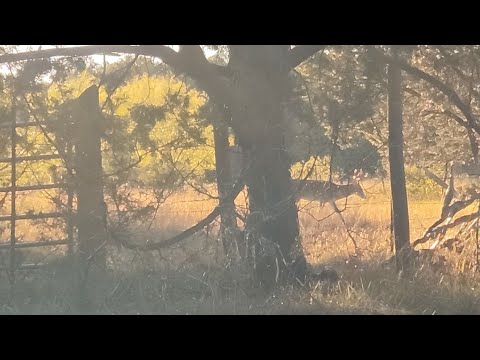 Psalm 105: Touch Not My Anointed Ones, Do My Prophets No Harm