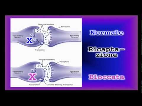 Poiché quello che ha visto il marito e beve In totale su medicina antialcolica Colm