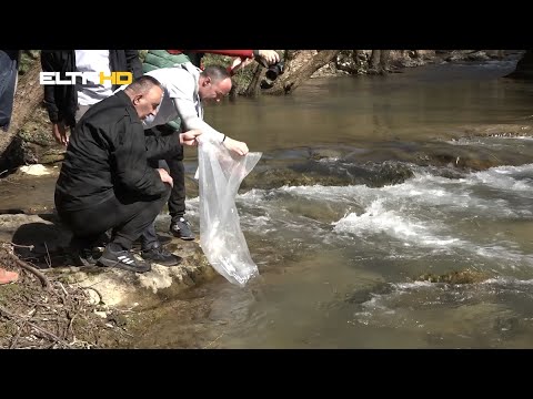 BL HRONIKA 18 03 23 - UREĐENJE KANJONA SUTURLIJE