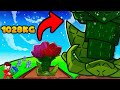 This Rosy Delight Strategy Is BETTER Than Elephant Ear In Roblox Grow A Garden