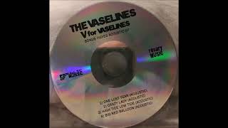 The Vaselines - "Crazy Lady (Acoustic)"