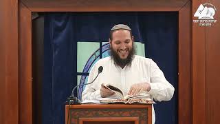 לחיות בגבורה | הרב שחר אימבר | שיחות התחזקות | 2 (ישיבת ברכת יוסף - אלון מורה) - התמונה מוצגת ישירות מתוך אתר האינטרנט יוטיוב. זכויות היוצרים בתמונה שייכות ליוצרה. קישור קרדיט למקור התוכן נמצא בתוך דף הסרטון לחיות בגבורה | הרב שחר אימבר | שיחות התחזקות | 2 (ישיבת ברכת יוסף - אלון מורה) - התמונה מוצגת ישירות מתוך אתר האינטרנט יוטיוב. זכויות היוצרים בתמונה שייכות ליוצרה. קישור קרדיט למקור התוכן נמצא בתוך דף הסרטון