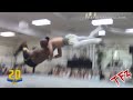 Scorpio Sky S Wicked Ace Of Spades TKO