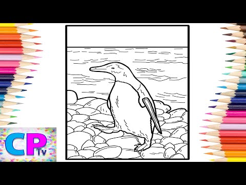 Penguin IPad Pro Coloring Pages/Sea Creatures Coloring/Elektronomia - Sky High pt. II [NCS Release]