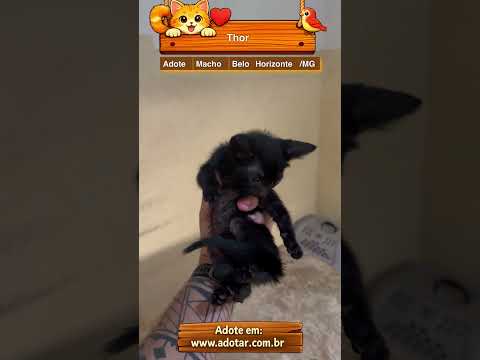 Vídeo de Thor