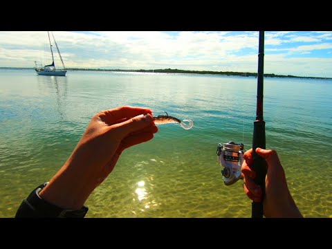 Fishing Soft Plastics On Clear Water Beach