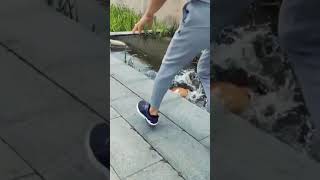 Funny Videos 2021 ● #shorts