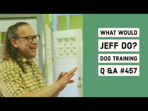 Stop dog chasing cats | Dog won't stop mouthing | What Would Jeff Do? Dog Training Q & A #457