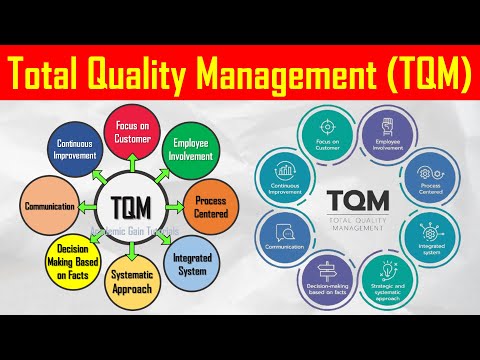 TQM Model Services