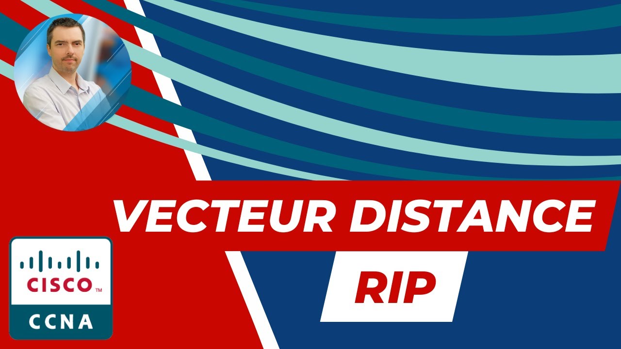 Vecteur de distance RIP