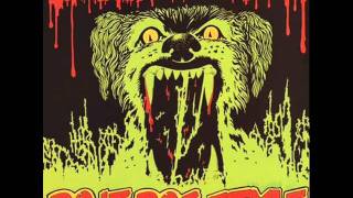 Slaughter and The Dogs - boston babies