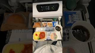 【一時帰国終了】ANA国際線ブイログ(羽田-ロンドン)✈️🇬🇧🇯🇵#ロンドン #日常vlog #ロンドン生活 #vlog #イギリスvlog