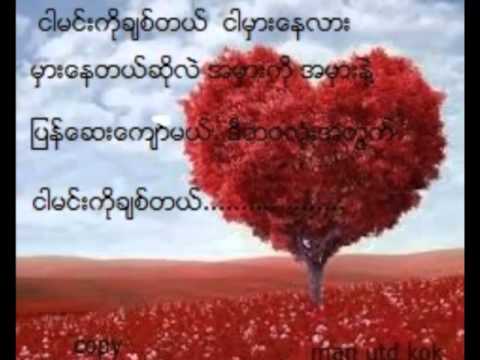 ႏြယ္နီ ညီမင္းခိုင္