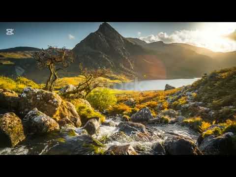 Ou konn nivo m ou konn kapasite m sèlman yon mo