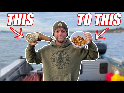 GIANT GEODUCK CATCH CLEAN COOK!!