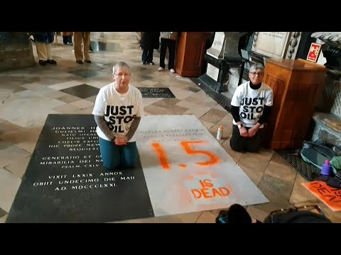 Video Thumbnail: UK climate activists target Darwin's grave with chalk | AFP