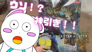 【第５３８話】まさかの今紹介モンスターハンターシールグミ２【モンスターハンター】